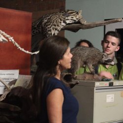 Colegio Científico CATIE de Turrialba visita el Museo de Zoología Y el Mariposario de la UCR