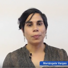 Síntesis de la conferencia "Investigación y desarrollo de una tecnología para la producción de fármacos derivados de sangre humana", efectuada en la Academia Nacional de Ciencias en agosto 2018, por Mariangela Vargas.